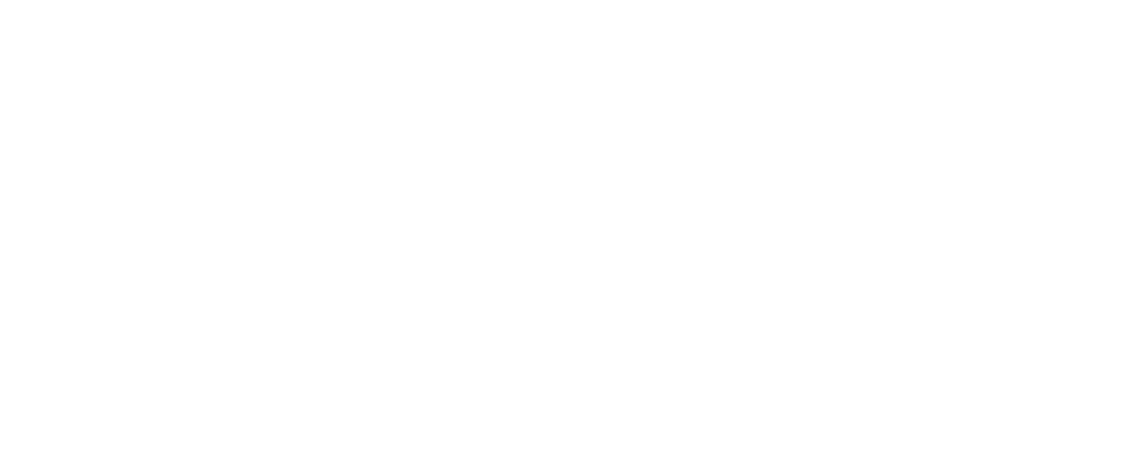 Kia Logo White Wordmark